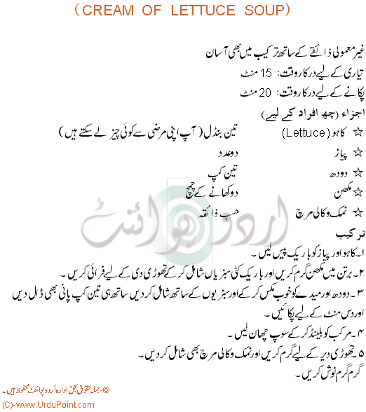 Cream Lettuce Soup Recipe In Urdu