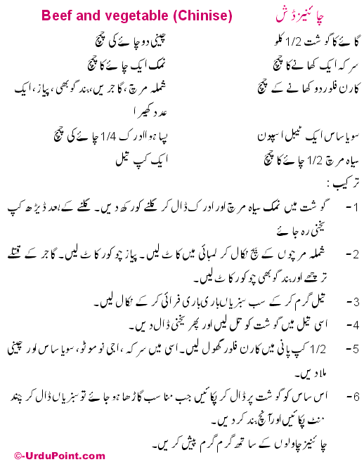 Chinese Dish Recipe In Urdu
