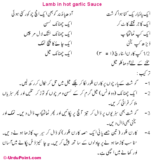 Lamb And Garlic Sauce Recipe In Urdu