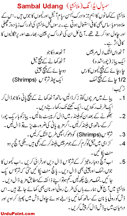 Sambal Udang Recipe In Urdu