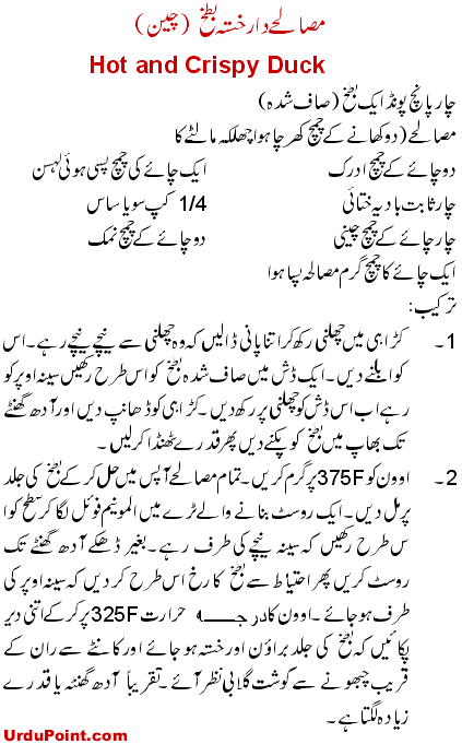 Masala Duck Recipe In Urdu