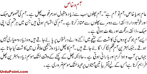Aam O Khas Recipe In Urdu