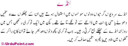 Anday Recipe In Urdu