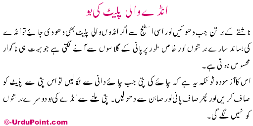 Anday Wali Plate Ki Boo Recipe In Urdu