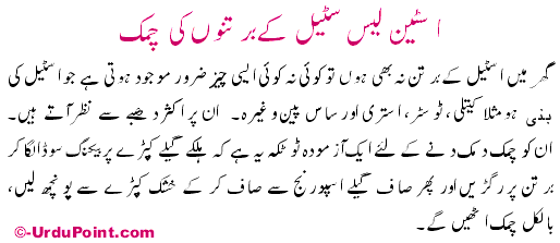 Stainless Steel Kai Burtunoo Ki Chumuk Recipe In Urdu