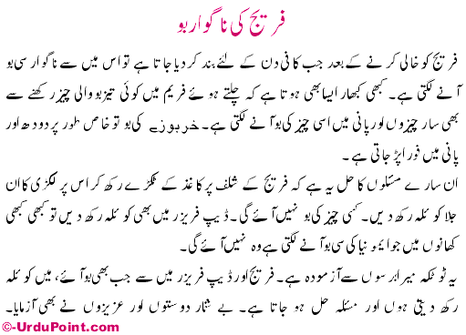 Fridge Ki Nagawar Boo Recipe In Urdu