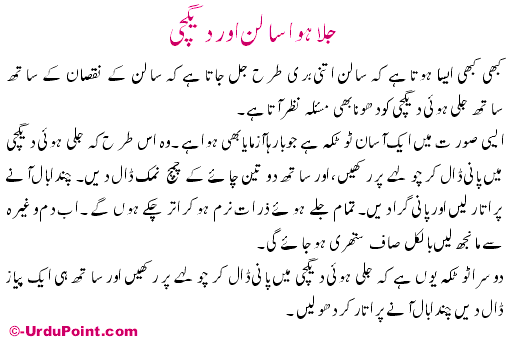 Jula Huwa Salun Aur Daigchi Recipe In Urdu