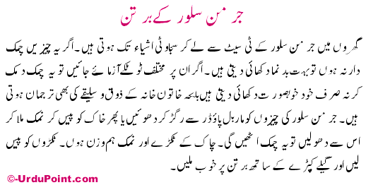 German Silver Kay Burton Recipe In Urdu