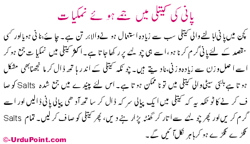 Paani Ki Katli Mai Jumai Huwai Namkiat Recipe In Urdu